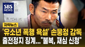 [자막뉴스] '유소년 폭행 욕설' 손웅정 감독, 출전정지 징계&hellip;"불복, 재심 신청"