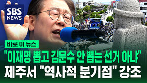 [바로이뉴스] "이재명 뽑고 김문수 안 뽑는 선거 아냐"&hellip;"이번 선거, 역사적 분기점" 강조