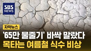 자막뉴스 가뭄