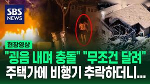 [영상] "모든 것이 불타 끔찍" 미국 경비행기 사고 원인은 전선 충돌?