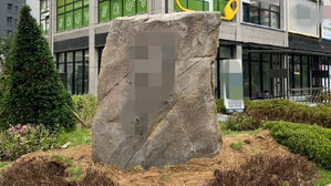 하룻밤 사이 등장한 거대 조경석&hellip;입주민도, 누리꾼도 와글와글