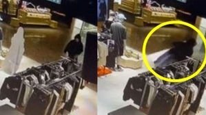 냅다 업고 튀었다&hellip;CCTV 찍힌 유별난 '카리나 팬심'?