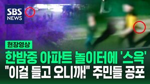 [영상] "쿵 소리 난 후 기절" 놀이터에 나타난 남성에 '혼비백산' 신발 벗겨진 채 도망갔는데&hellip;