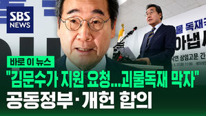 [바로이뉴스] 이낙연 "김문수가 지원 요청&hellip;공동정부&middot;개헌 추진 합의"
