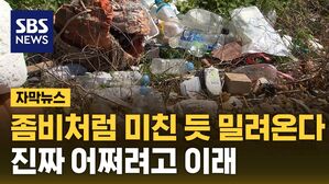 자막뉴스 쓰레기섬