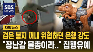 [자막뉴스] 아들 장난감 물총으로 은행 털려던 강도&hellip;"생활고 시달려" 집행유예 선고
