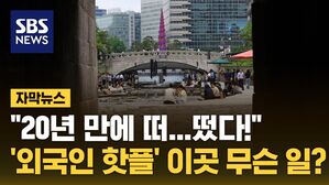 자막뉴스 청계천 쉬리
