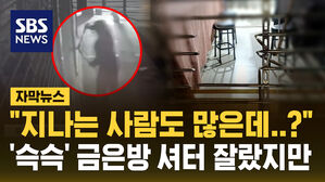 [자막뉴스] "지나는 사람도 많은데&hellip;" 절단기 꺼내 '슥슥' 간 큰 금은방 털이범