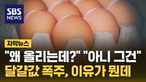 자막 달걀값