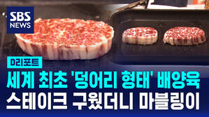 [D리포트] 세계 최초 '덩어리 형태 배양육'&hellip;"맛&middot;질감 조절"
