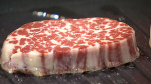 불판 올리자 '치익'&hellip;"마블링 살아있네" 뜻밖 정체