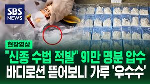 [영상] 산에 숨기고 바디로션에도? "필로폰 91만 명 투약 가능한 분량 압수"