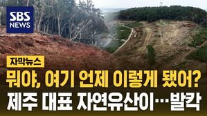 [자막뉴스] 뭐야, 여기 언제 이렇게 됐어?&hellip;제주 대표 자연유산 '발칵'