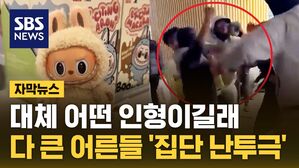 자막뉴스 인형 난투극