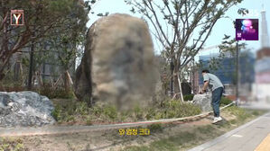 0531 궁금한이야기Y 썸네일