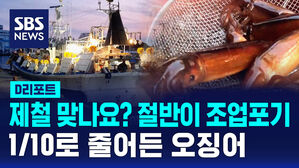 [D리포트] 1/10로 줄어든 오징어&hellip;절반이 조업 포기