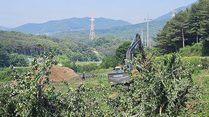단양에서도 과수화상병 첫 발생&hellip;충북 누적 28곳 9.76ha