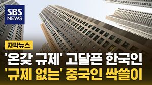 자막뉴스 중국인 부동산 쇼핑