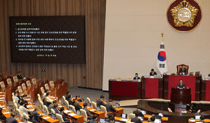 '채상병 특검&middot;내란 특검&middot;김건희 특검법' 국회 본회의 통과