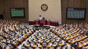'3대 특검법 · 검사징계법' 국회 본회의 통과