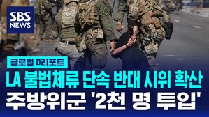 [글로벌D리포트] LA 불법체류 단속 반대 시위 확산&hellip;주방위군 '2천 명 투입'