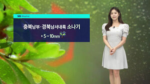 [날씨] 낮 기온 30도 안팎&hellip;금주 내내 무더위