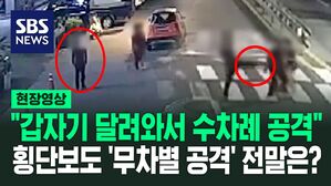 [영상] "내 욕한 것 같아서" 횡단보도 건너는데 달려와 '무차별 공격' 누군가 보니