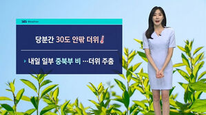 [날씨] 당분간 30도 안팎 더위…서쪽 해안에 짙은 안개