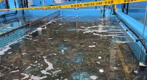 냉동탑차 개조해 수입 대게&middot;킹크랩 70t 빼돌린 일당들 적발