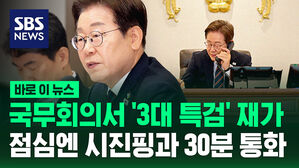 국무회의서 '3대 특검' 재가&hellip;점심엔 시진핑과 30분 통화 [바로이뉴스]