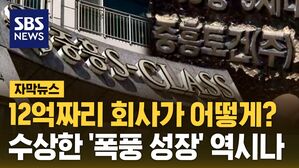 [자막뉴스] 12억짜리 회사가 어떻게?&hellip;수상한 '폭풍 성장' 역시나
