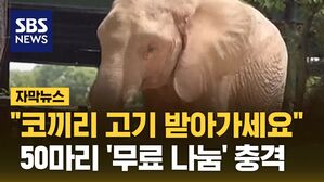 [자막뉴스] "코끼리 고기 받아가세요"&hellip;50마리 '무료 나눔' 충격
