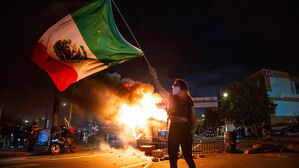 미국에 등장한 이 나라 국기…'이민자 저항' 연대 부활