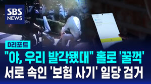 [D리포트] "보험사기 발각됐으니 돈 보내"&hellip;보험사기&middot;상습사기 20대 송치