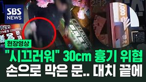[영상] 가방에 '흉기 네 자루' 중국인, 공중 협박에서 살인미수로 혐의 바뀐 이유는
