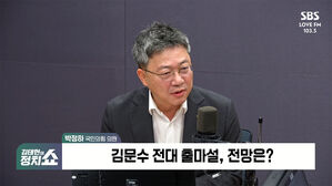 0612 정치쇼 박정하