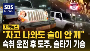 [자막뉴스] "눈만 붙였다고 술이 깨나요?" 숙취 운전에 도주, 술타기까지 기승