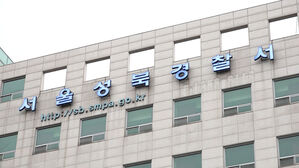 경찰, 이 대통령 아들 결혼식 테러 모의 글 작성자 검거
