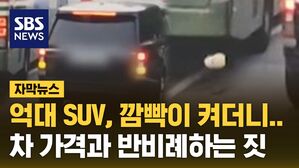 [자막뉴스] 억대 SUV, 깜빡이 켜더니&hellip;차 가격과 반비례하는 짓