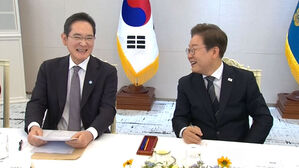 이 대통령, 삼성 이재용 &middot; SK 최태원 등 재계 수장과 연쇄 회동