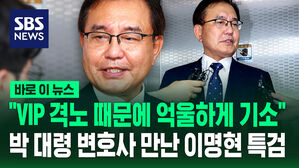 "VIP 격노 때문에 억울하게 기소" 박정훈 대령 변호사 만난 이명현 특검 [바로이뉴스]