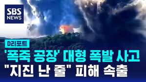 [글로벌D리포트] '폭죽 공장' 대형 폭발 사고 "지진 난 줄"&hellip;피해 속출