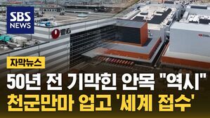 자막뉴스 라면