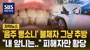 [자막뉴스] '음주 뺑소니' 불체자 그냥 추방&hellip;"내 앞니는?" 피해자만 황당