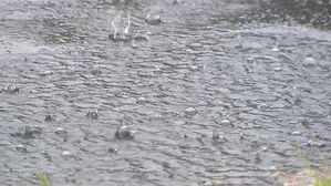 정부, '호우 대비' 지자체에 재난특교세 300억 원 지원