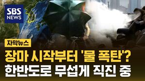 자막 장마