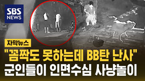 "꼼짝도 못 하는데 BB탄 난사"&hellip;군인들이 인면수심 사냥놀이 [자막뉴스]