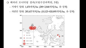 경남 고성 자란만 1㏊에 해파리 28만 마리&hellip;"작년보다 9배 많아"