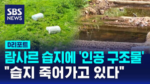 [D리포트] 람사르 습지에 '인공 구조물'&hellip;"습지 죽어가고 있다"