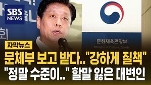 [자막뉴스] 업무보고 중 문체부 강하게 질책한 국정기획위&hellip;"정말 수준이" 할 말 잃은 대변인